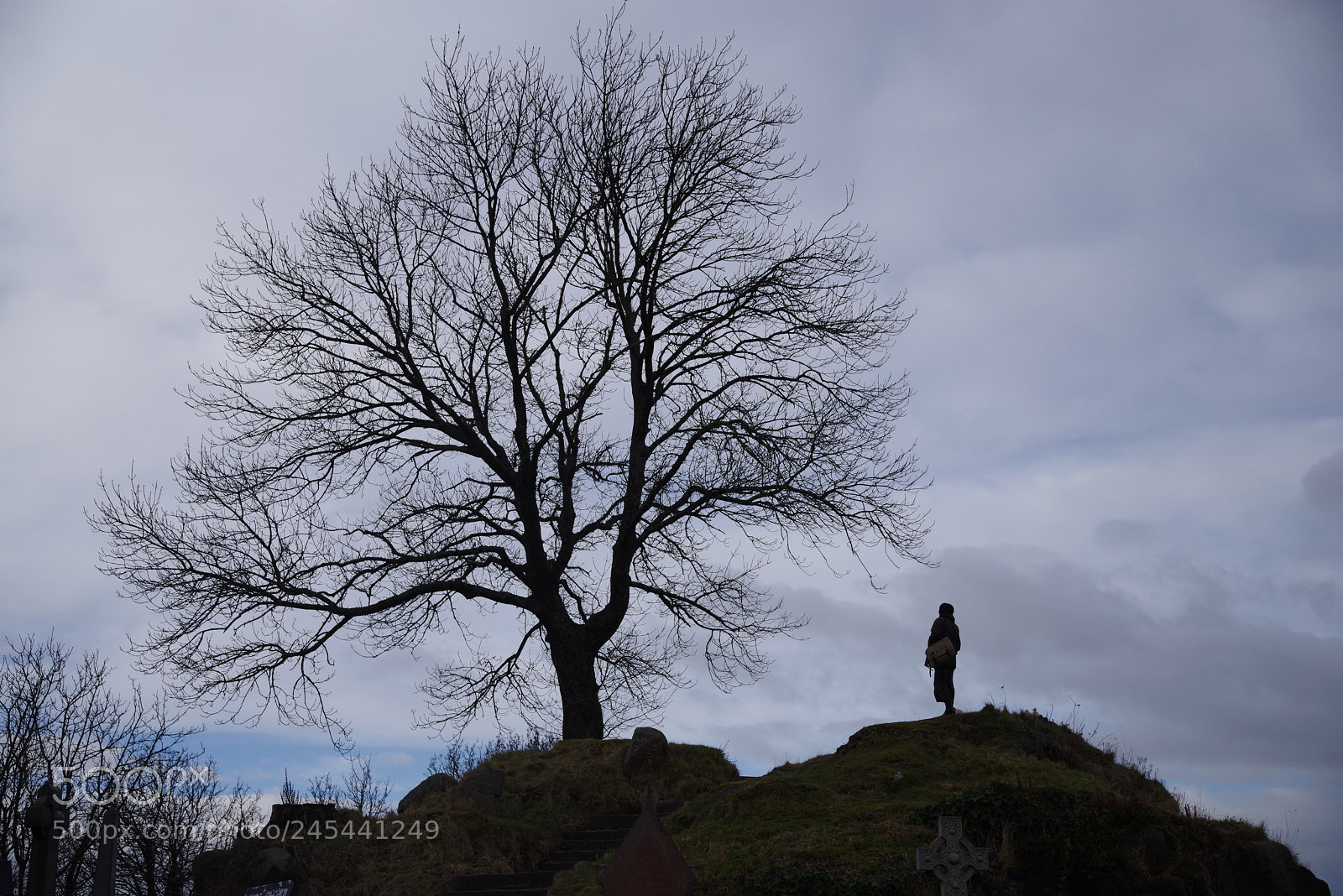 Pentax K-1 sample photo. The girl and the photography