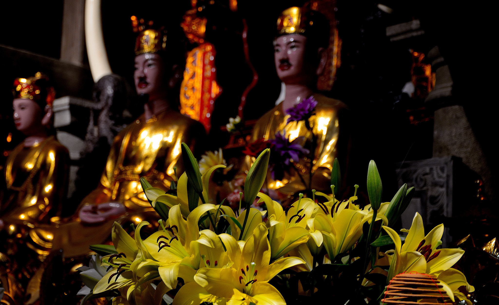Nikon D3200 sample photo