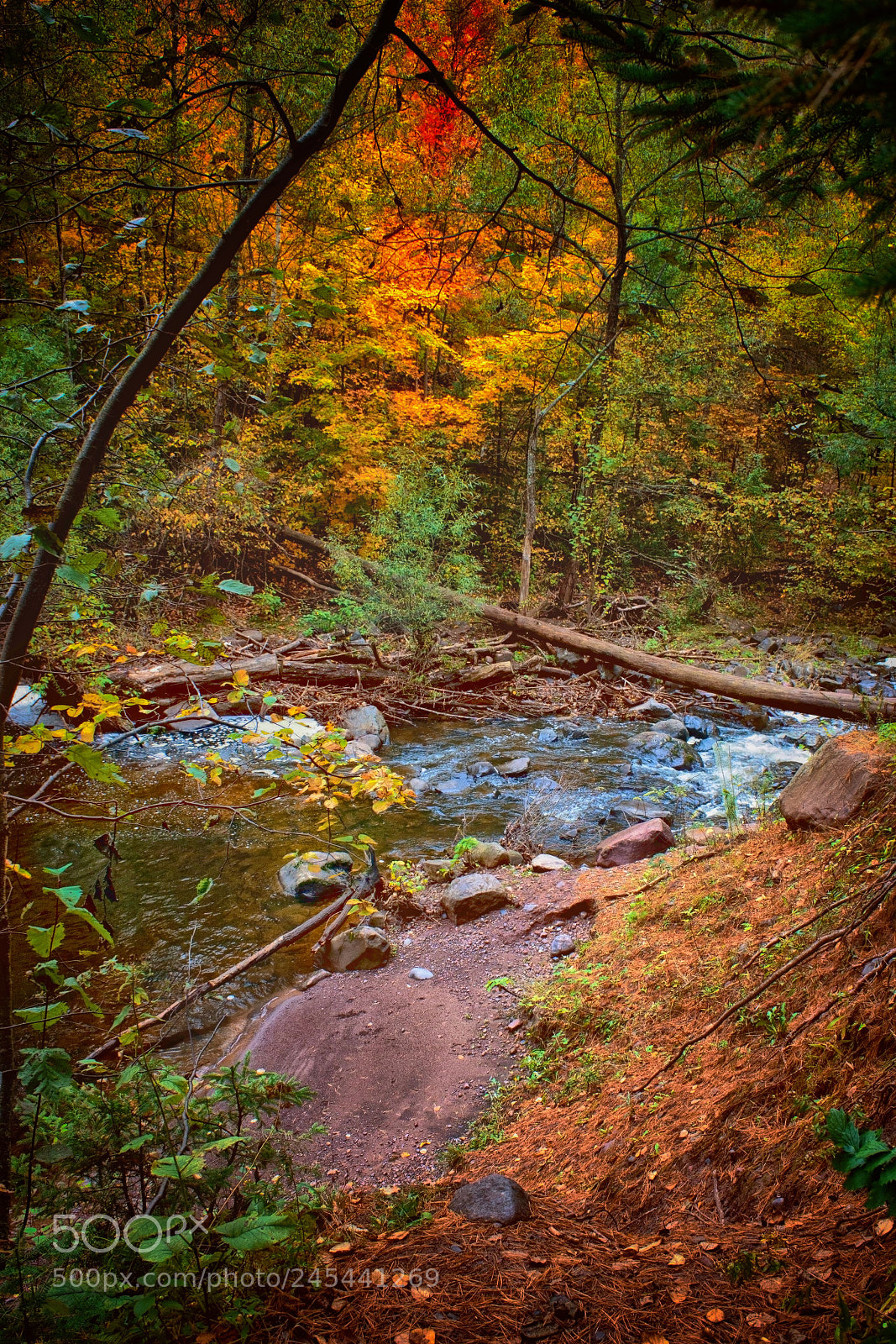 Canon EOS 450D (EOS Rebel XSi / EOS Kiss X2) sample photo. Chester creek, duluth mn photography