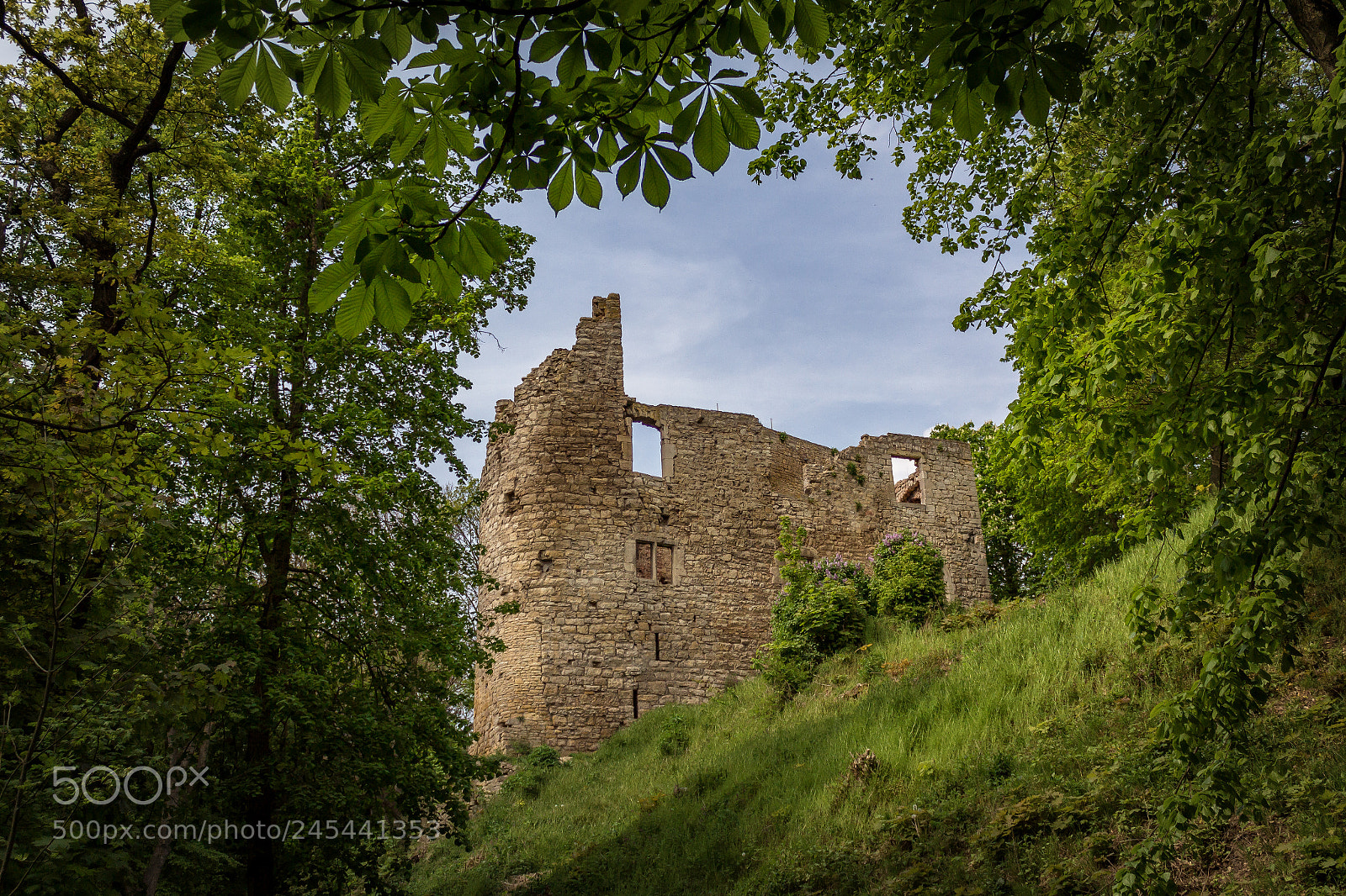 Canon EOS 60D sample photo. Burgruine .. photography