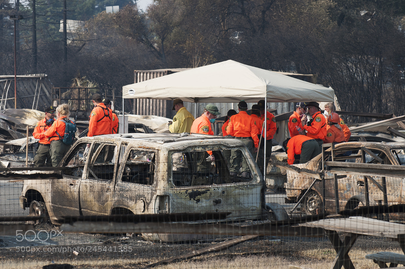 Nikon D90 sample photo. Aftermath of california wildfires photography