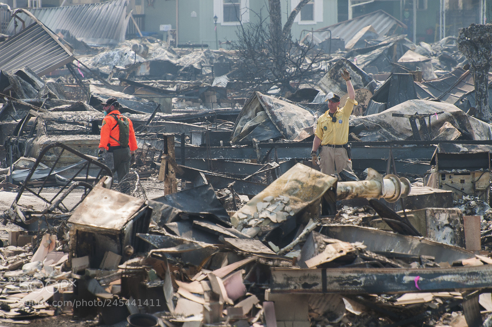 Nikon D90 sample photo. Aftermath of california wildfires photography