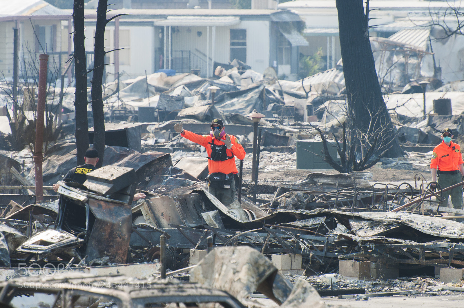Nikon D90 sample photo. Aftermath of california wildfires photography