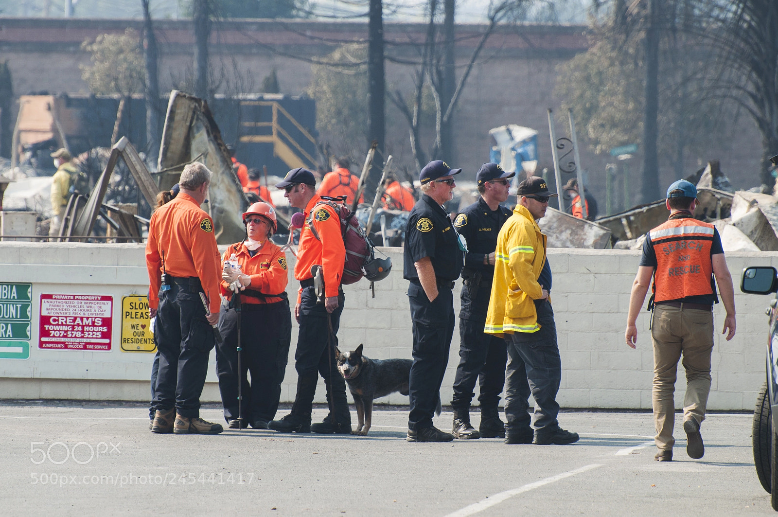 Nikon D90 sample photo. Aftermath of california wildfires photography