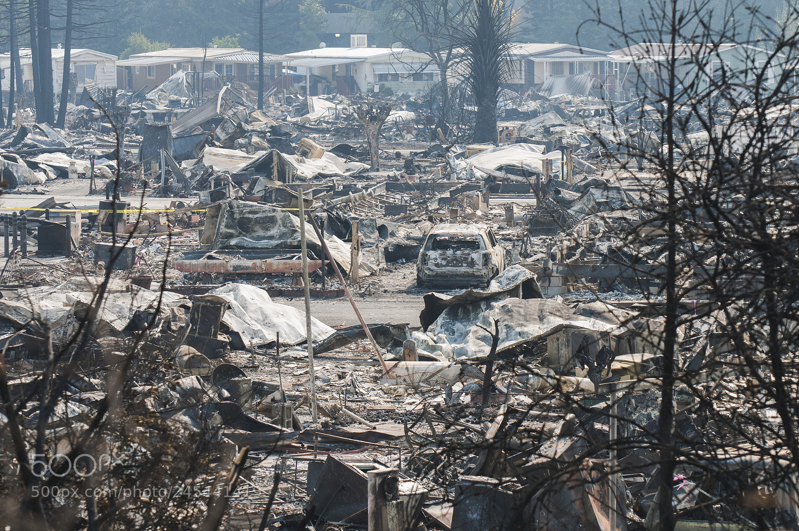 Nikon D90 sample photo. Aftermath of california wildfires photography