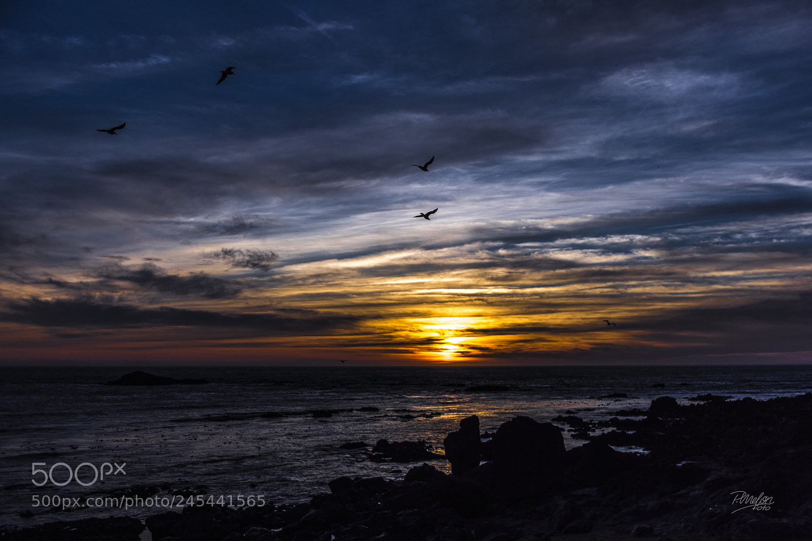 Sony SLT-A68 sample photo. Matosinhos - oporto 2017 photography