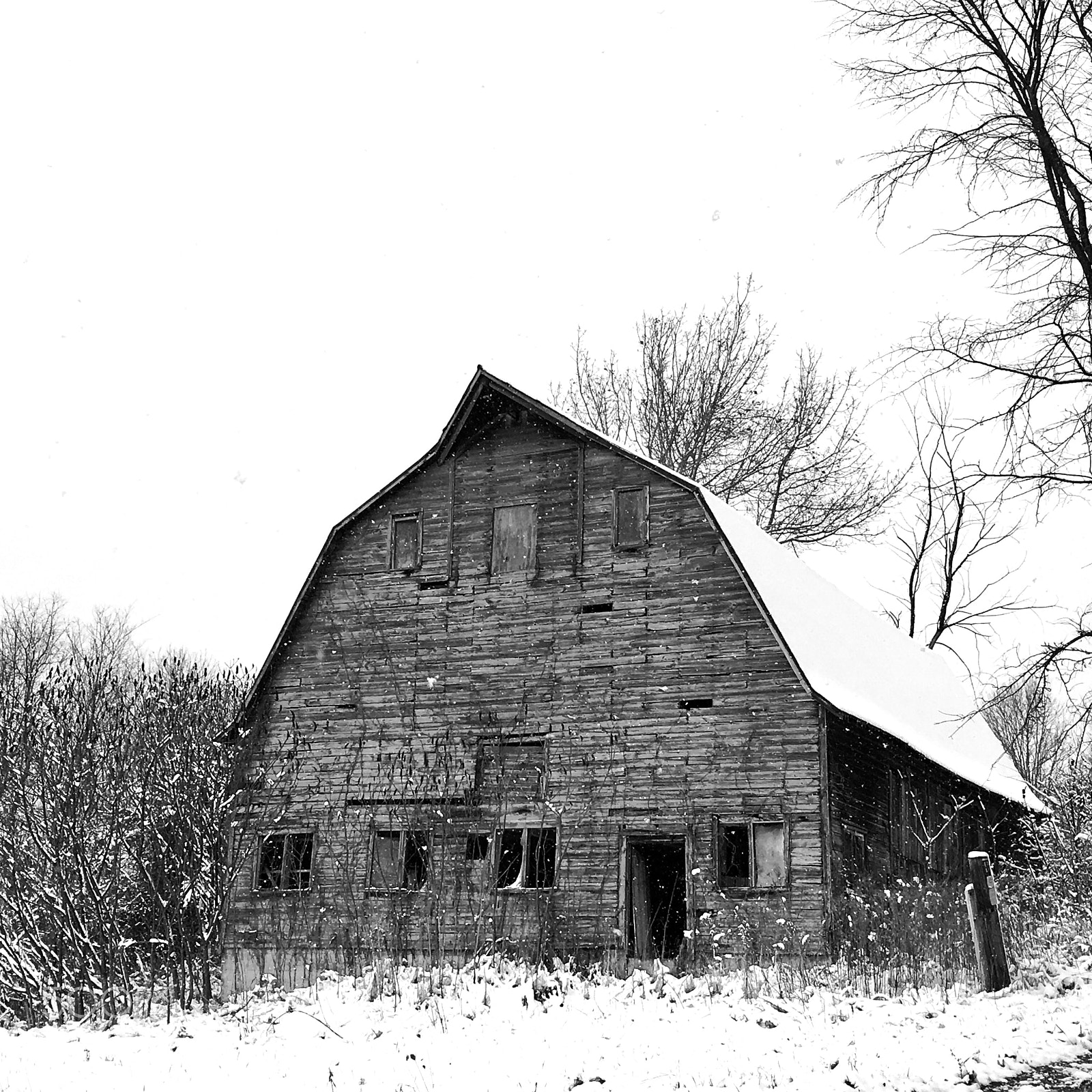 Apple iPhone 6s Plus sample photo. Vermont snow covered barn photography