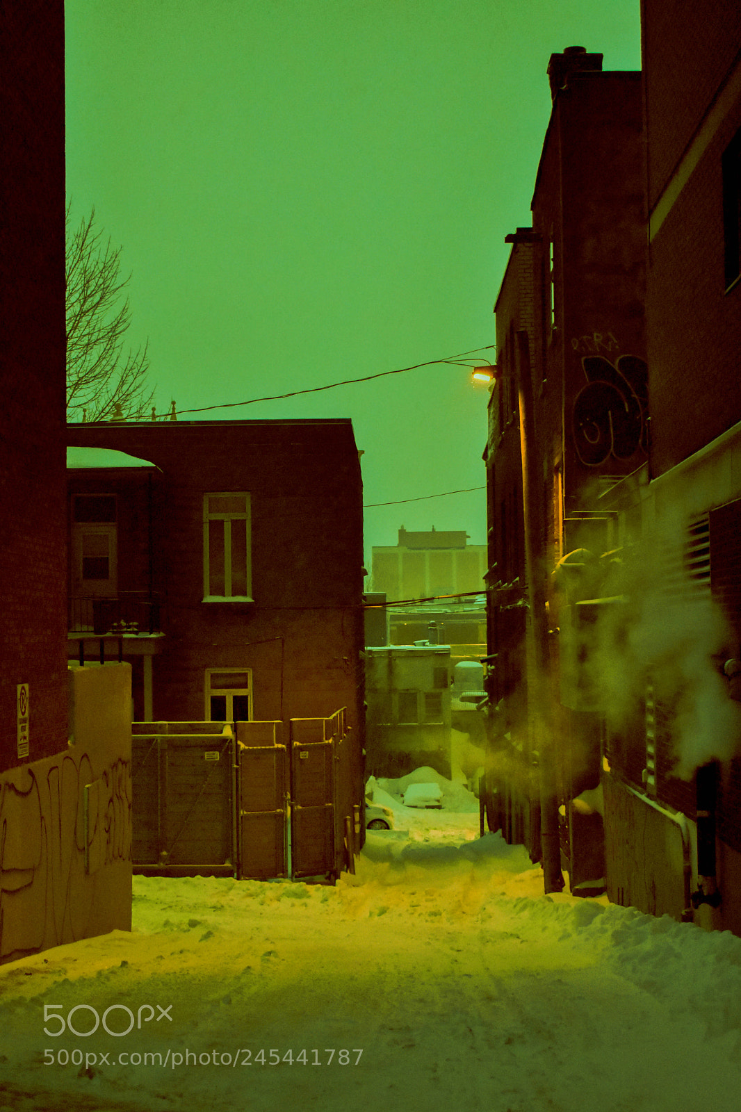 Nikon D3400 sample photo. Montreal photography