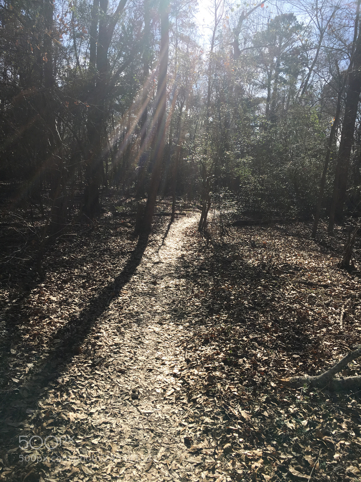 Apple iPhone 6s sample photo. Trails in tyler texas photography