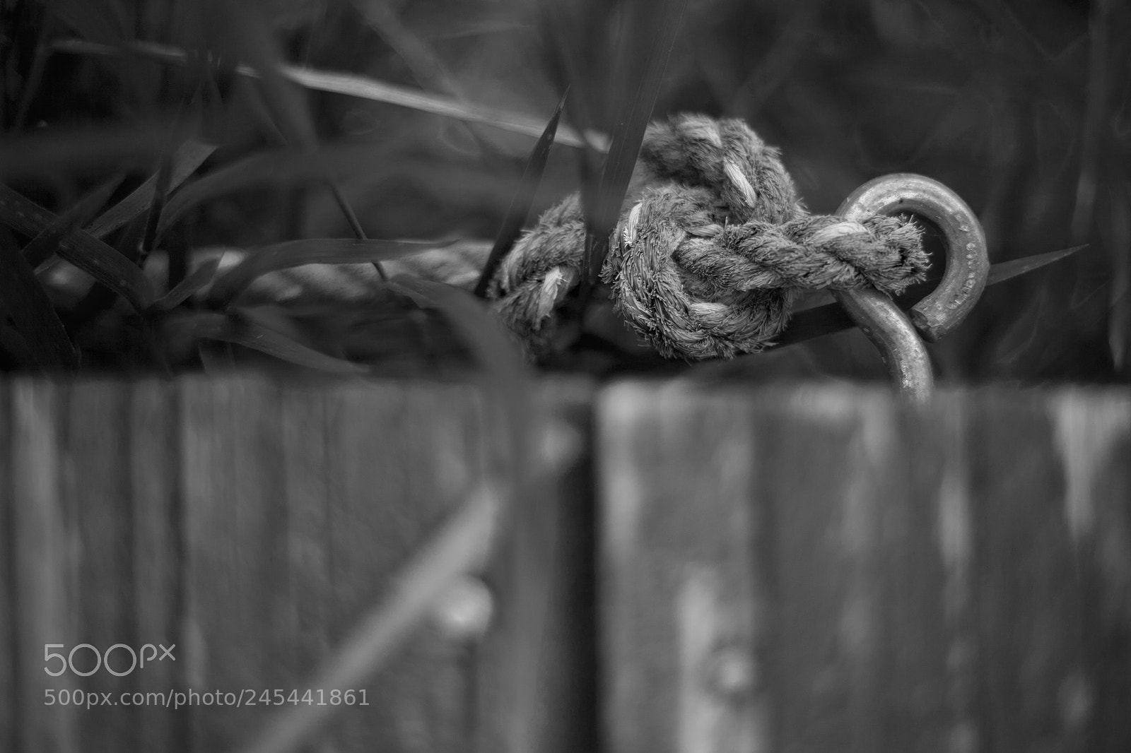 Canon EOS 5D sample photo. Rope photography