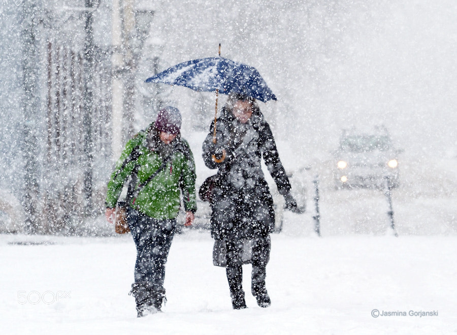 Olympus OM-D E-M1 Mark II sample photo. Blizzard photography
