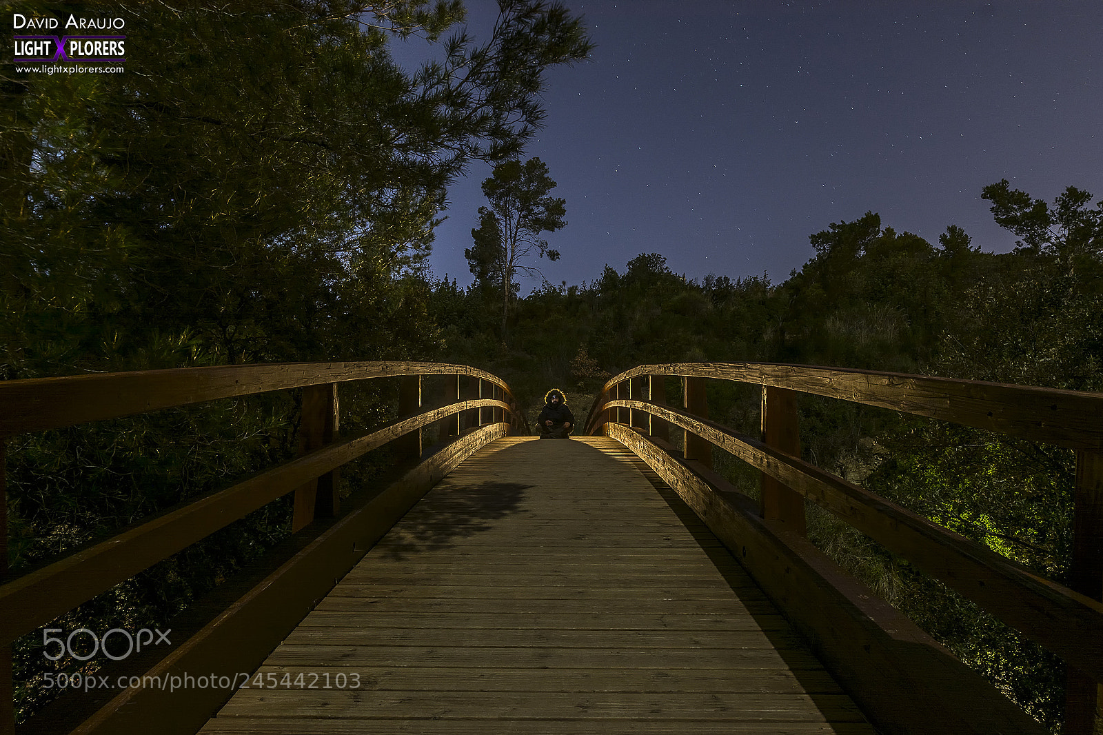 Nikon D7100 sample photo. Meditation photography