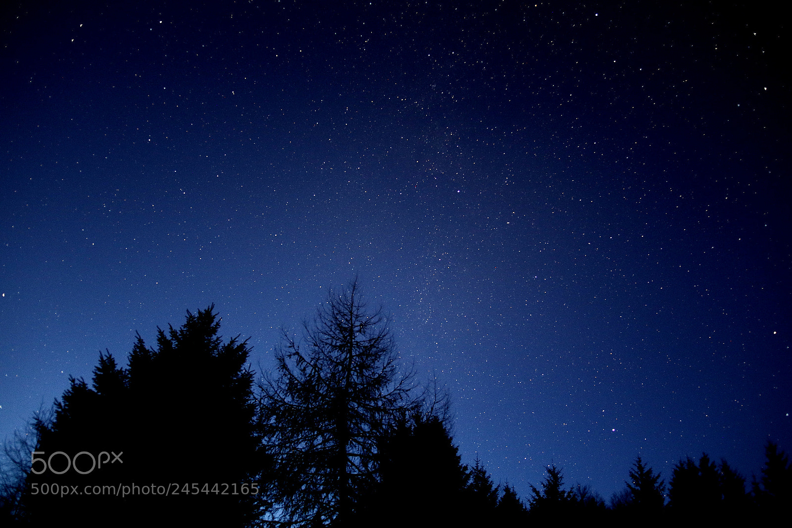 Canon EOS 7D Mark II sample photo. Blue haze photography