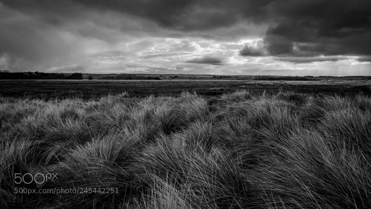 Nikon D3200 sample photo. Across the dunes, brancaster photography