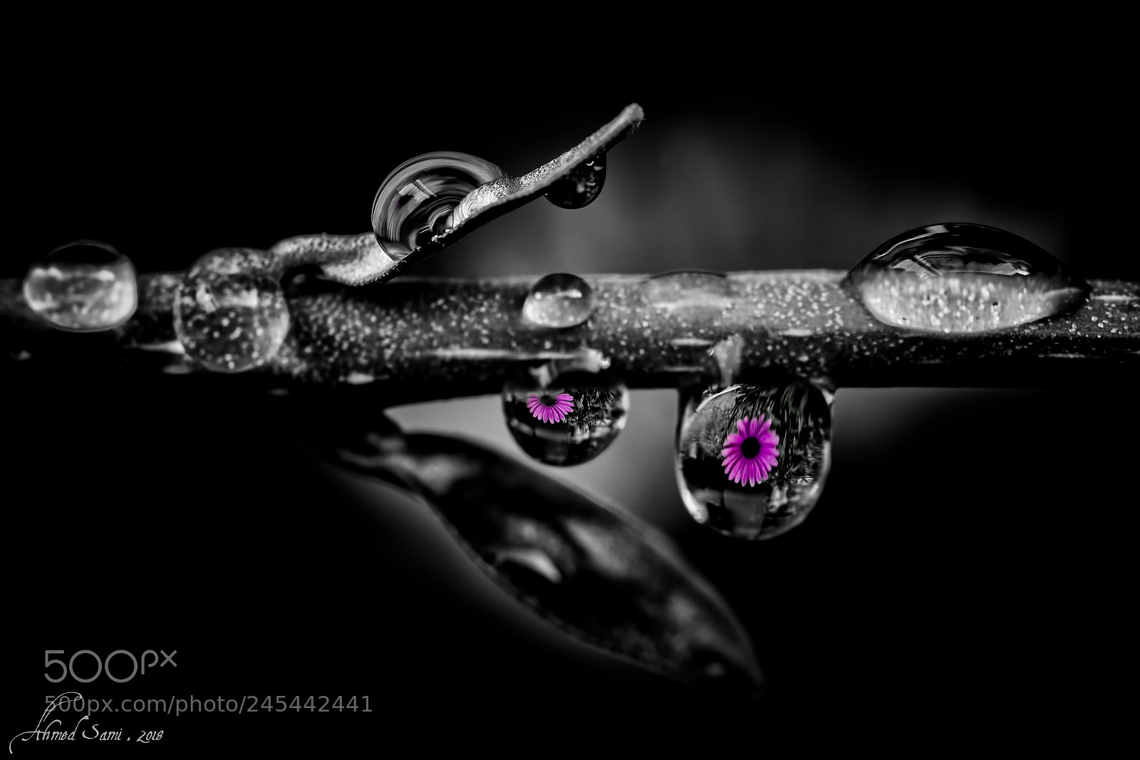 Nikon D7100 sample photo. See through water photography