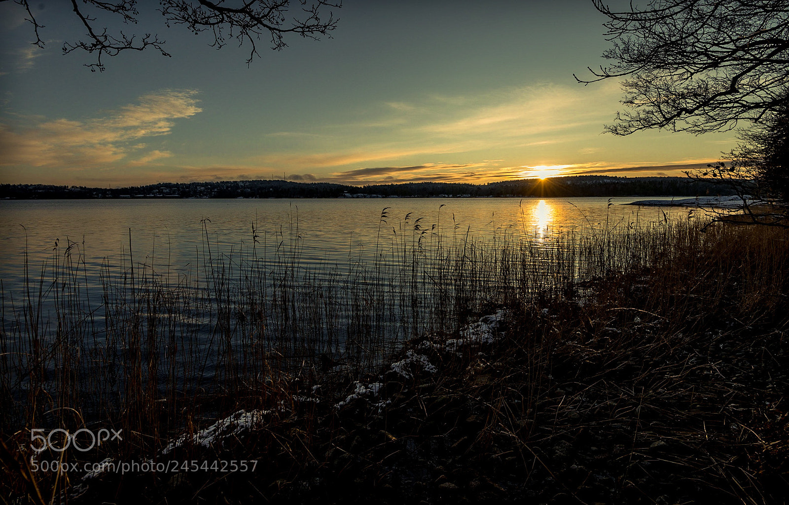 Nikon D800 sample photo. Erstaviken 1 photography