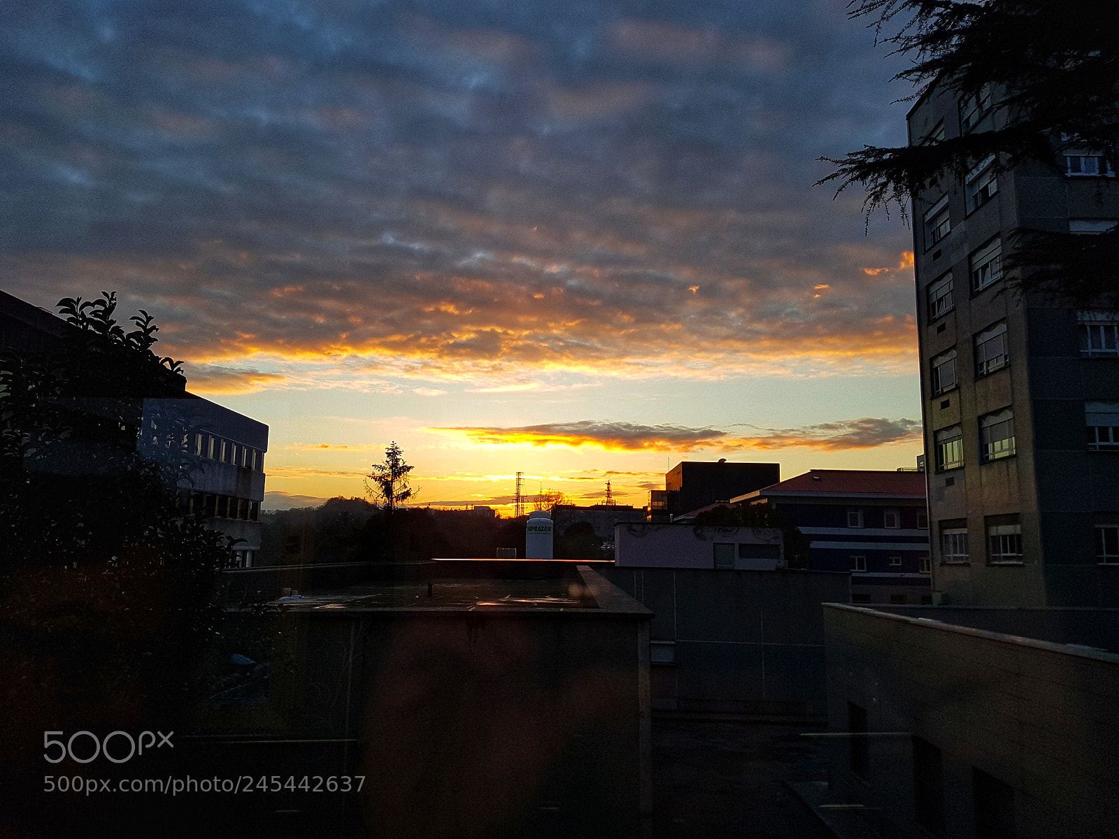 Samsung Galaxy S7 Edge sample photo. Untitled photography