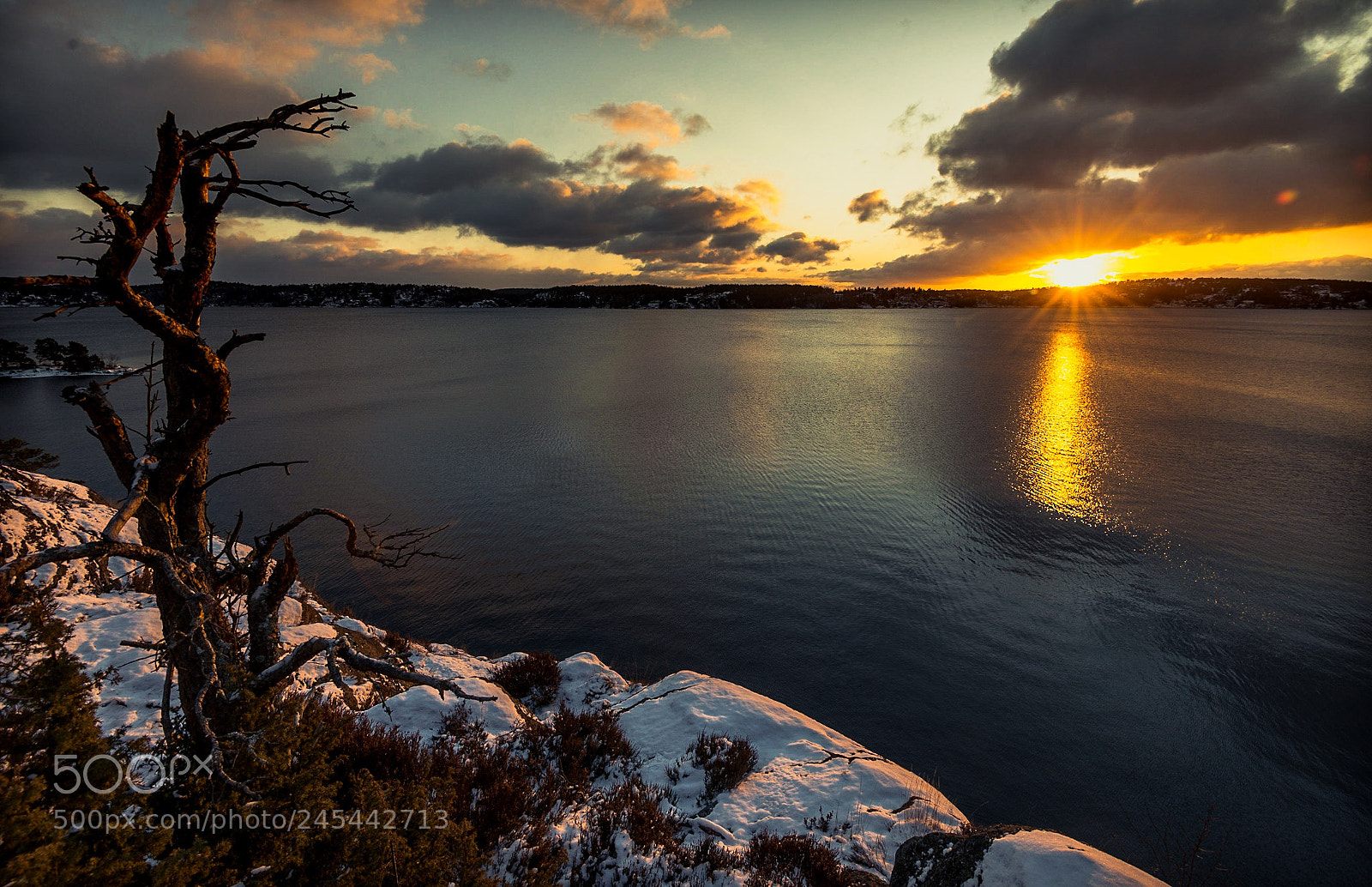 Nikon D800 sample photo. Erstaviken 4 photography