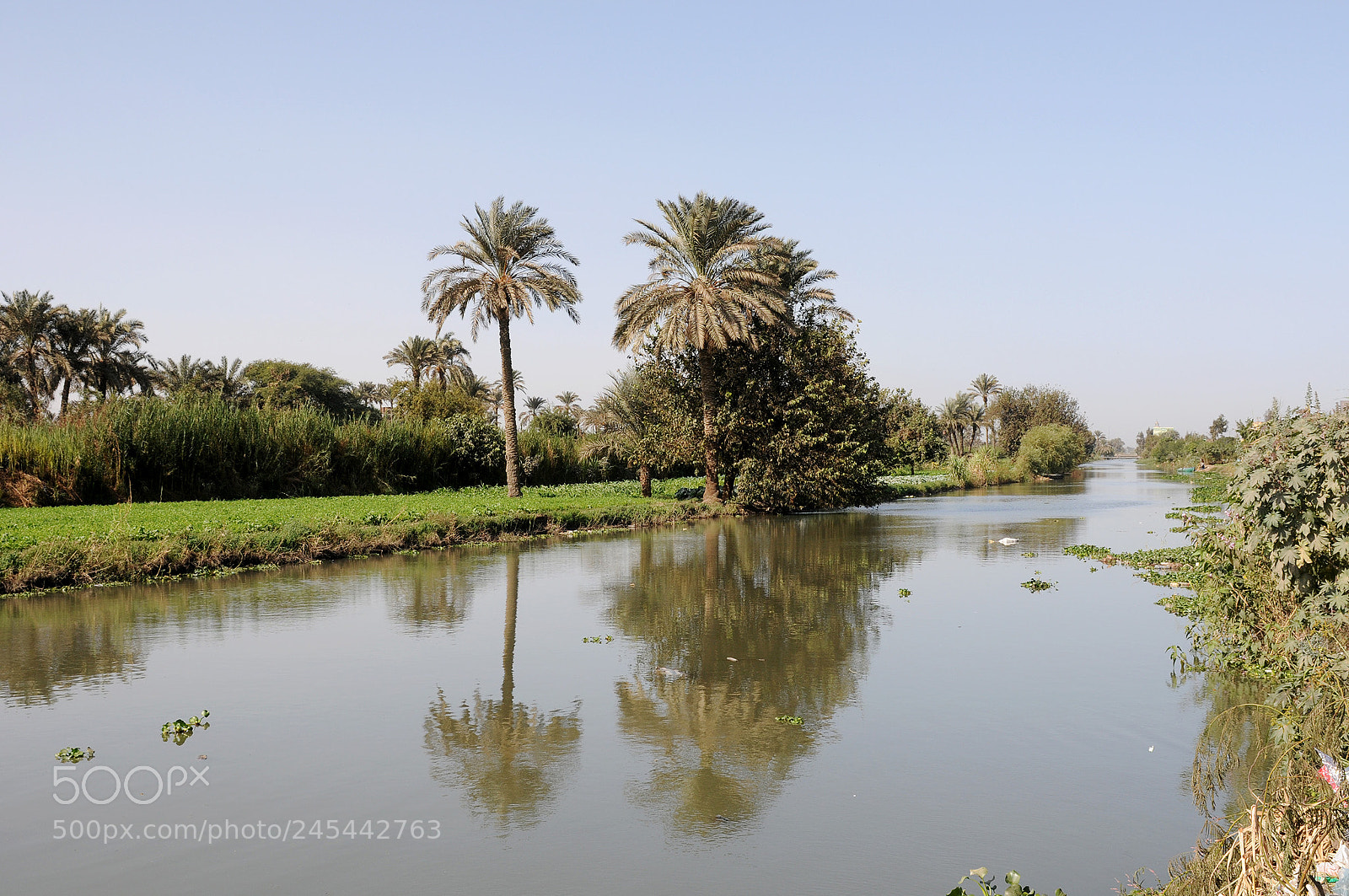 Nikon D300 sample photo. Untitled photography