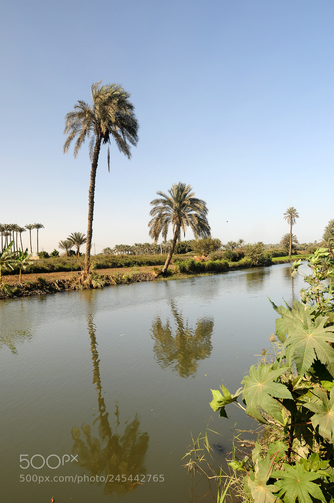 Nikon D300 sample photo. Untitled photography