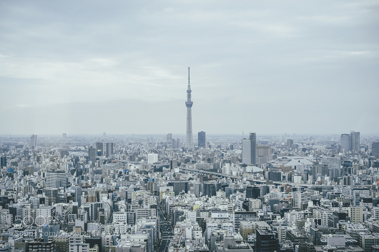 Sony a7 II sample photo. Tokyo's skyline photography