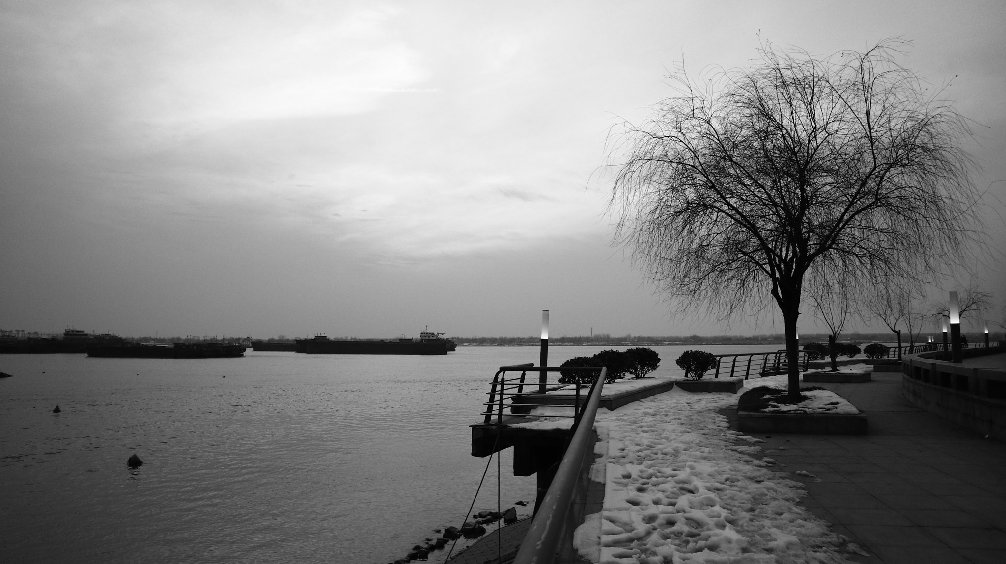Canon EOS M6 sample photo. Osier photography