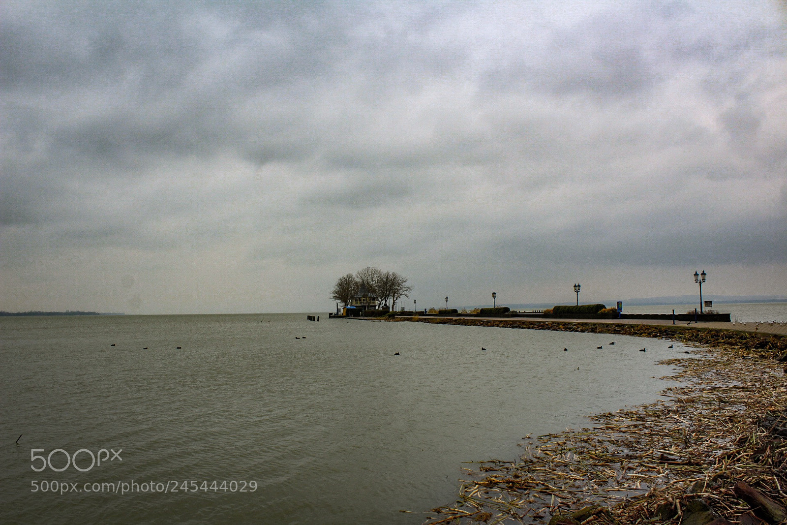 Canon EOS 1300D (EOS Rebel T6 / EOS Kiss X80) sample photo. Balaton lake, hungary photography