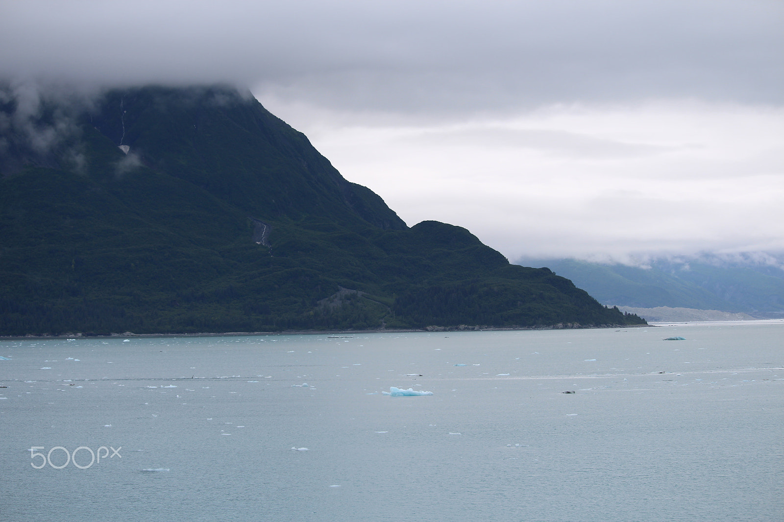 Canon EF-S 55-250mm F4-5.6 IS STM sample photo. Img photography