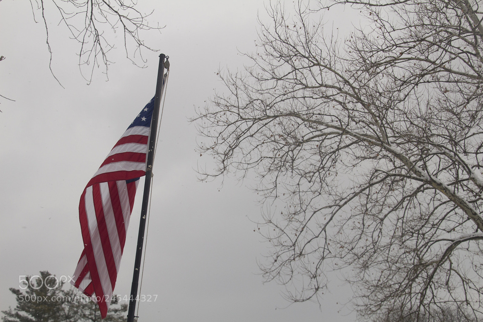 Canon EOS 1200D (EOS Rebel T5 / EOS Kiss X70 / EOS Hi) sample photo. God bless america. dios photography