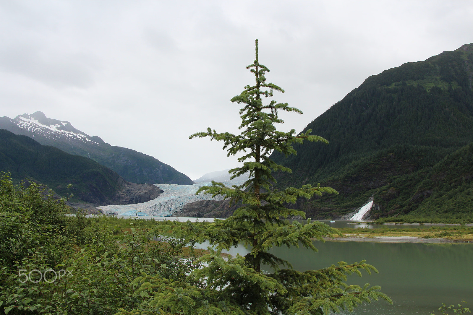 Canon EOS 700D (EOS Rebel T5i / EOS Kiss X7i) sample photo. Img photography