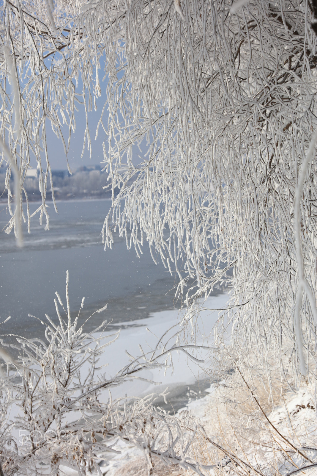 Canon EOS 5DS R sample photo. Rime shore photography