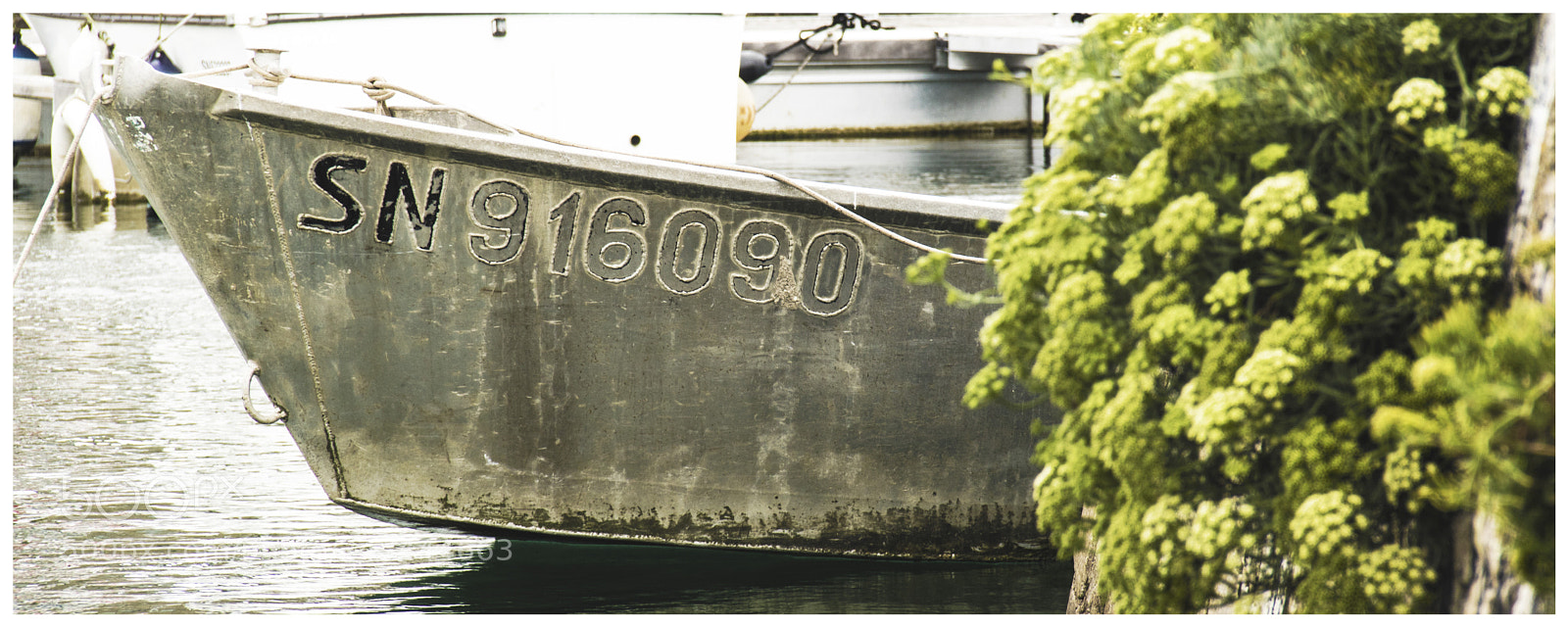 Canon EOS 760D (EOS Rebel T6s / EOS 8000D) sample photo. Sn 916090 photography