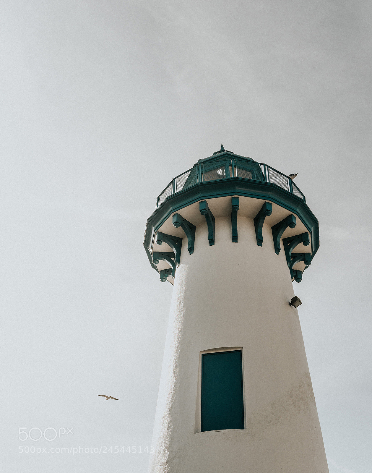 Sony a6300 sample photo. Lighthouse with a bird photography