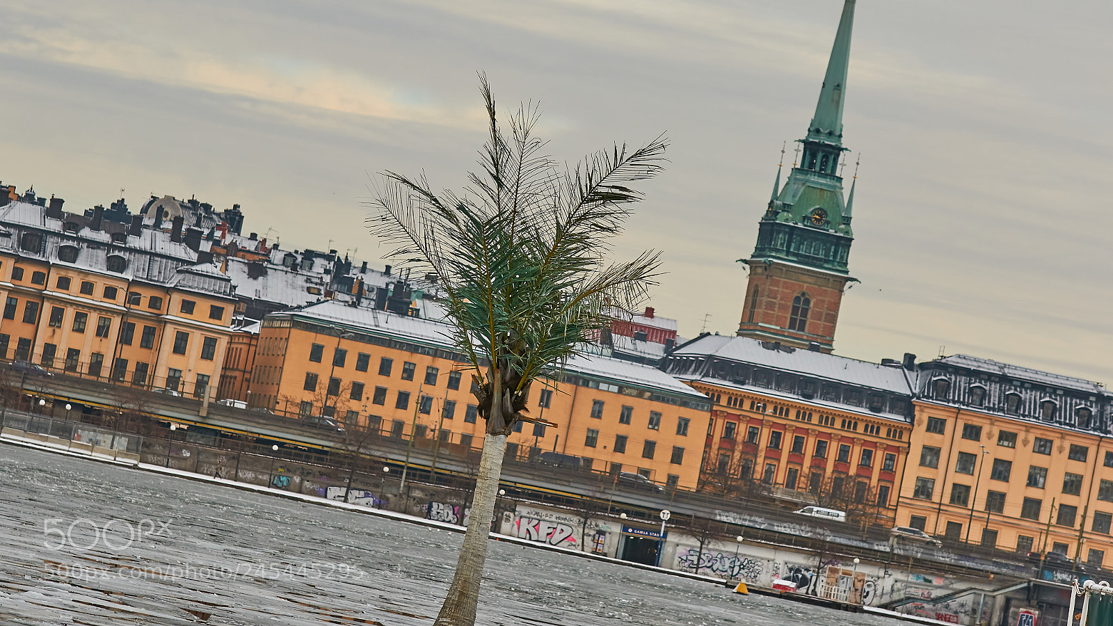 Canon EOS 7D Mark II sample photo. Tropical winter photography
