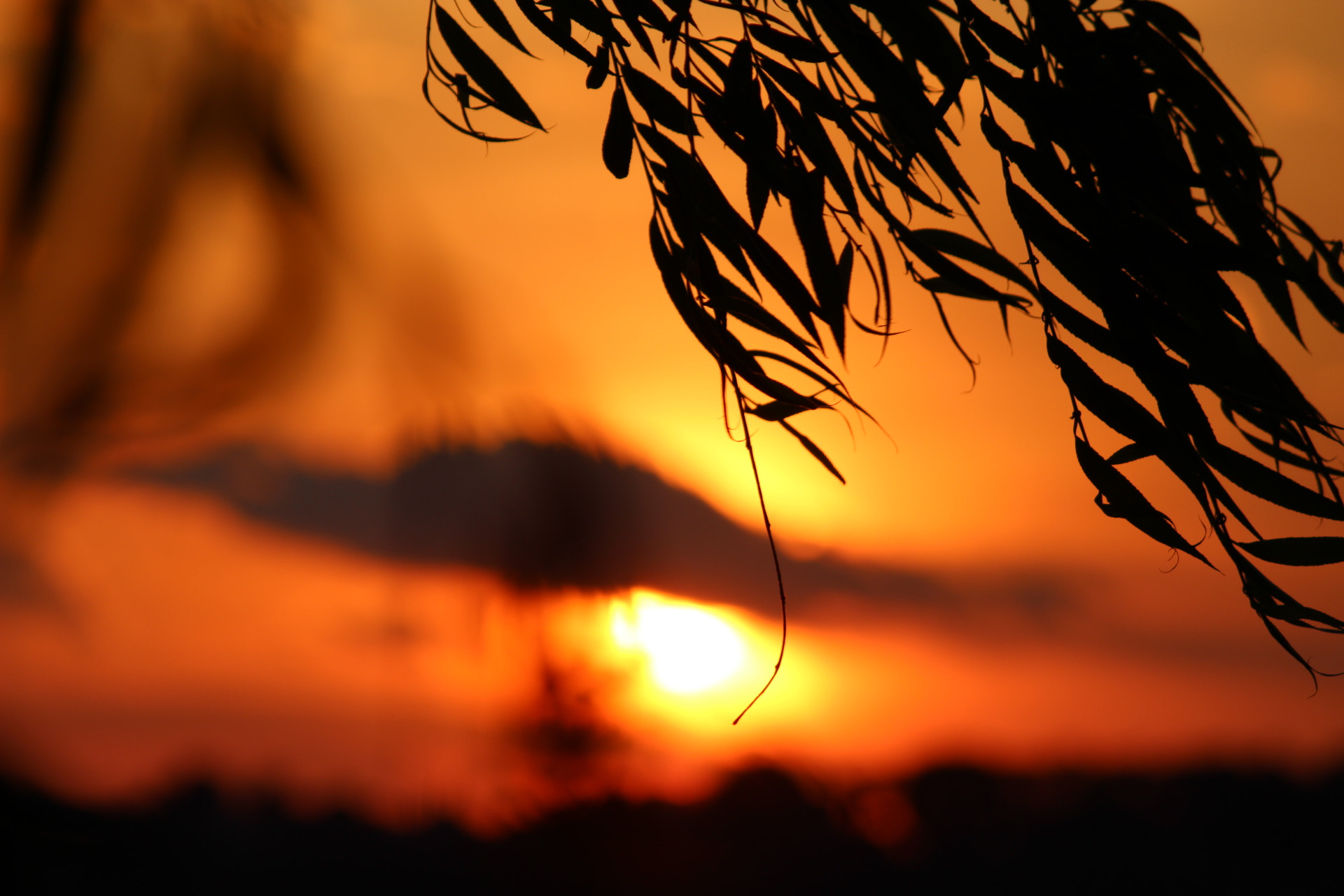 Canon EF-S 55-250mm F4-5.6 IS II sample photo. 53@22 photography