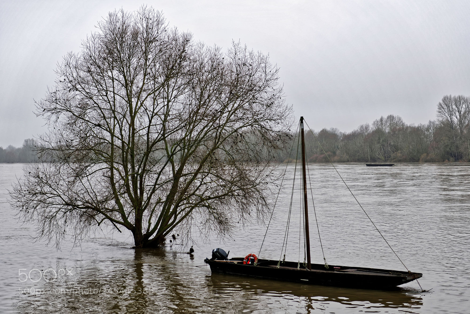 Nikon D810 sample photo. Loire d'hiver. photography