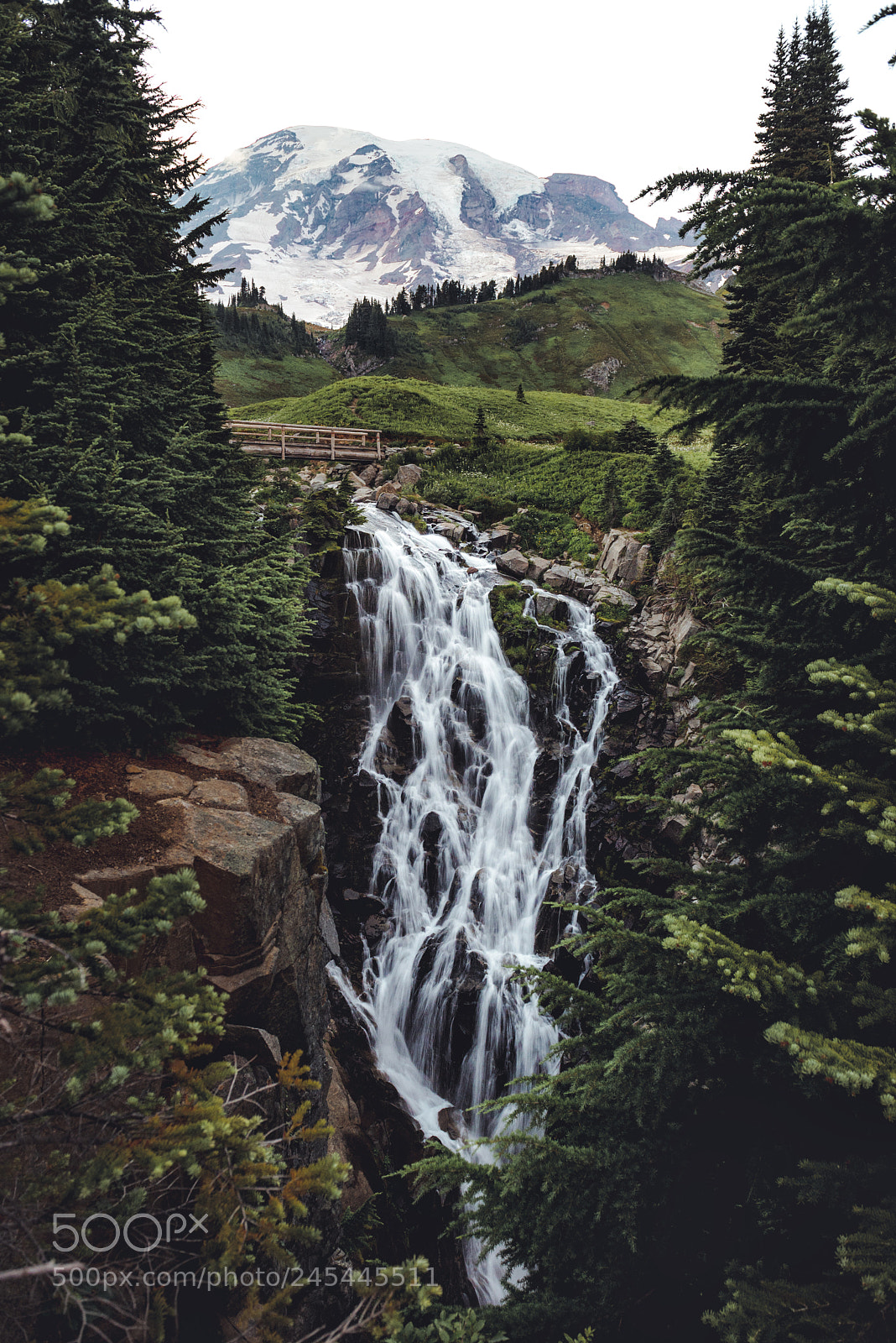 Nikon D600 sample photo. Myrtle falls photography