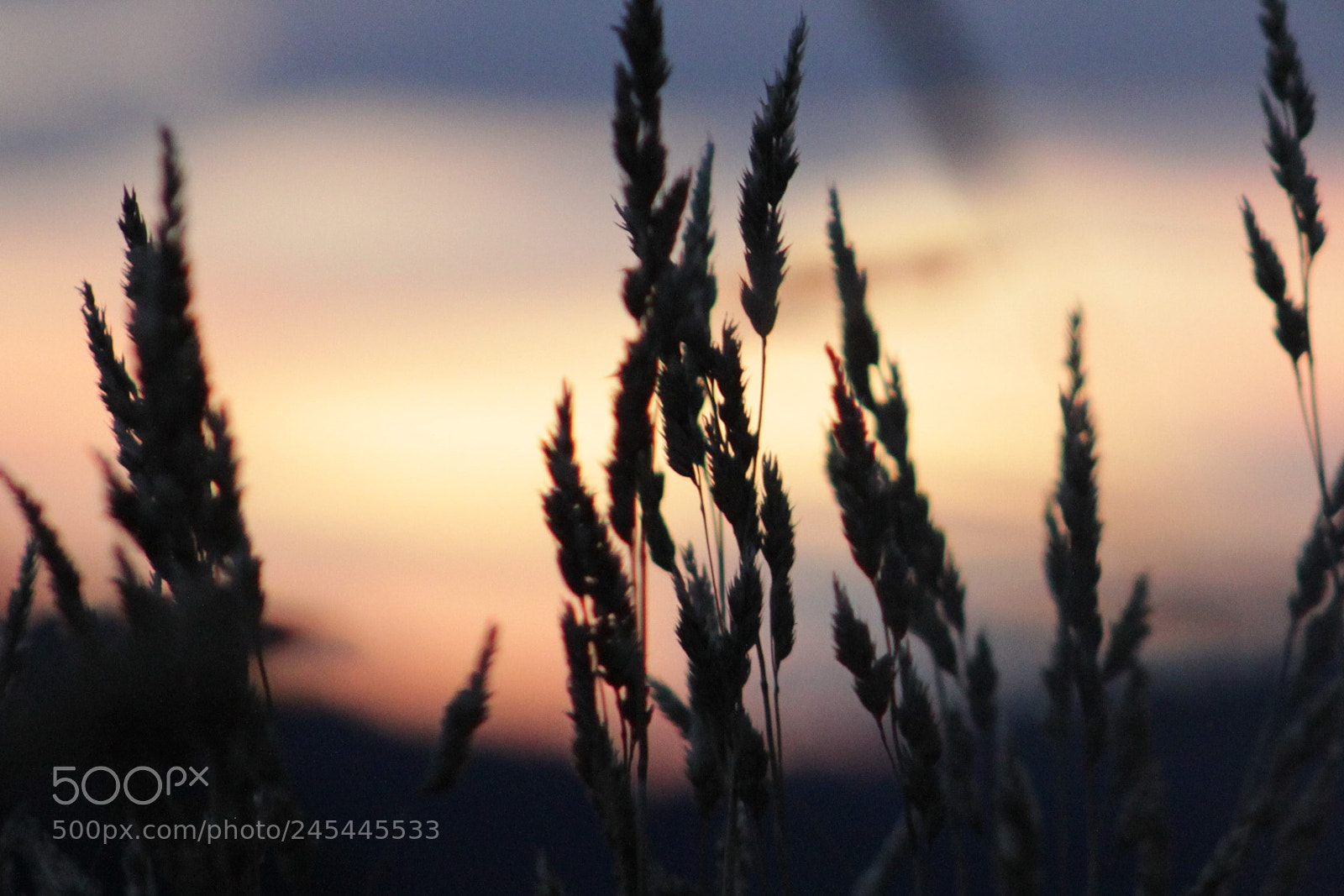 Canon EOS 500D (EOS Rebel T1i / EOS Kiss X3) sample photo. Sunset photography
