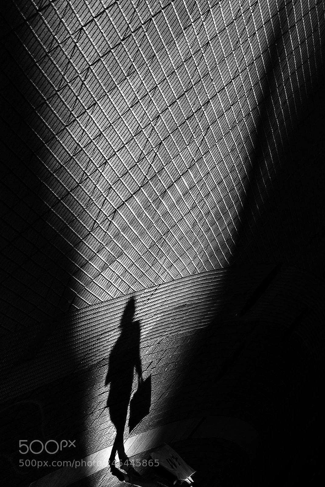 Nikon D7200 sample photo. Shadow photography