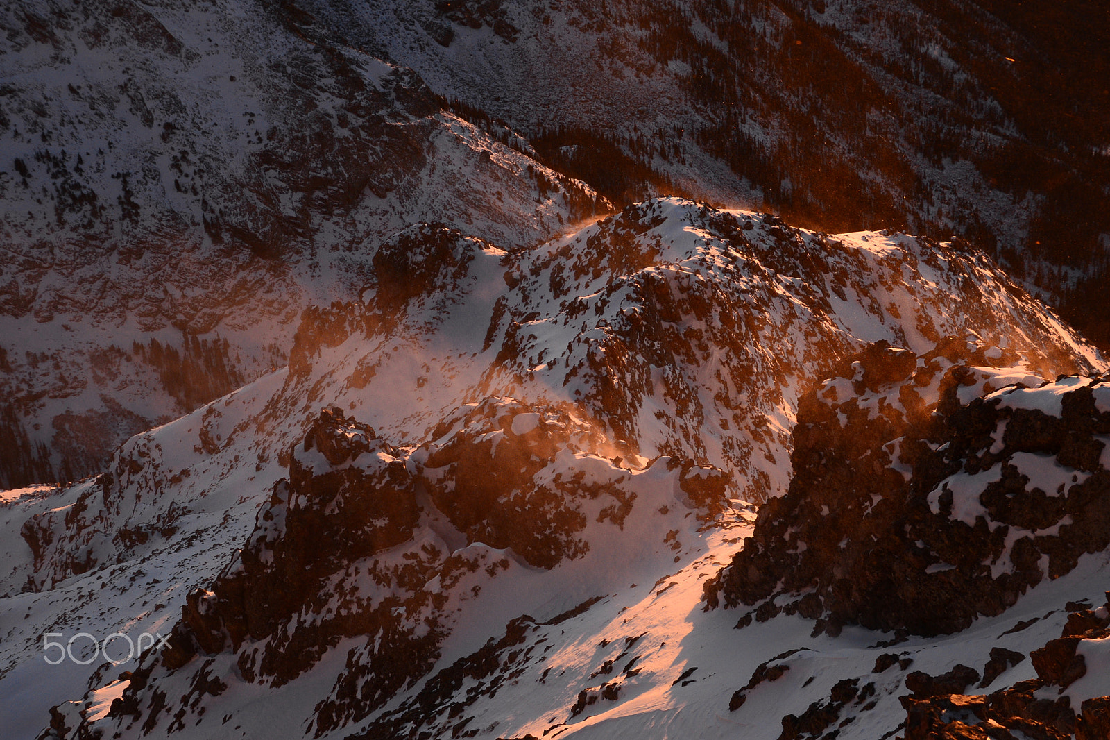 Nikon D610 sample photo. Wind blown sunset photography