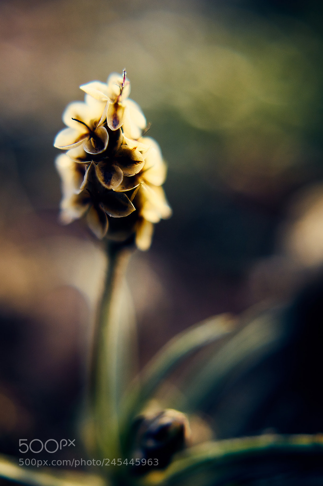 Sony ILCA-77M2 sample photo. Waiting for photography
