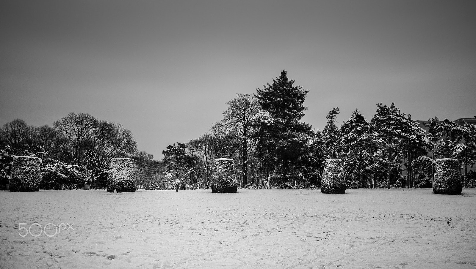 Panasonic Lumix DMC-GH1 sample photo. Winter park photography