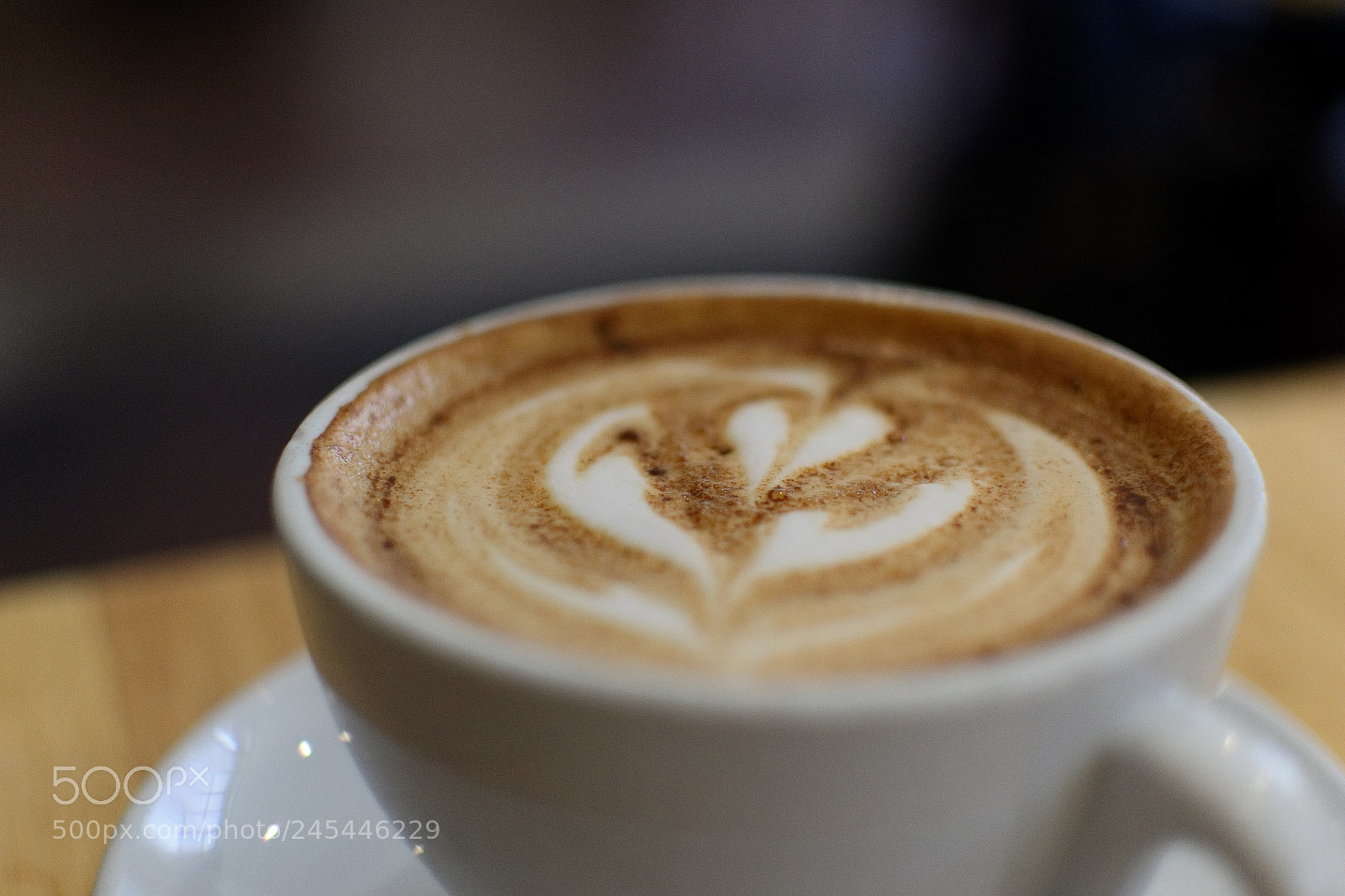 Nikon D3100 sample photo. Untitled photography