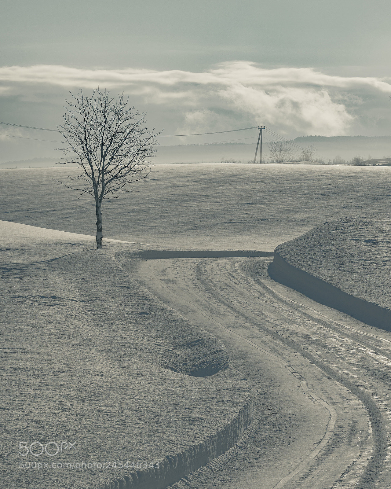 Nikon D600 sample photo. Unfollow directions photography