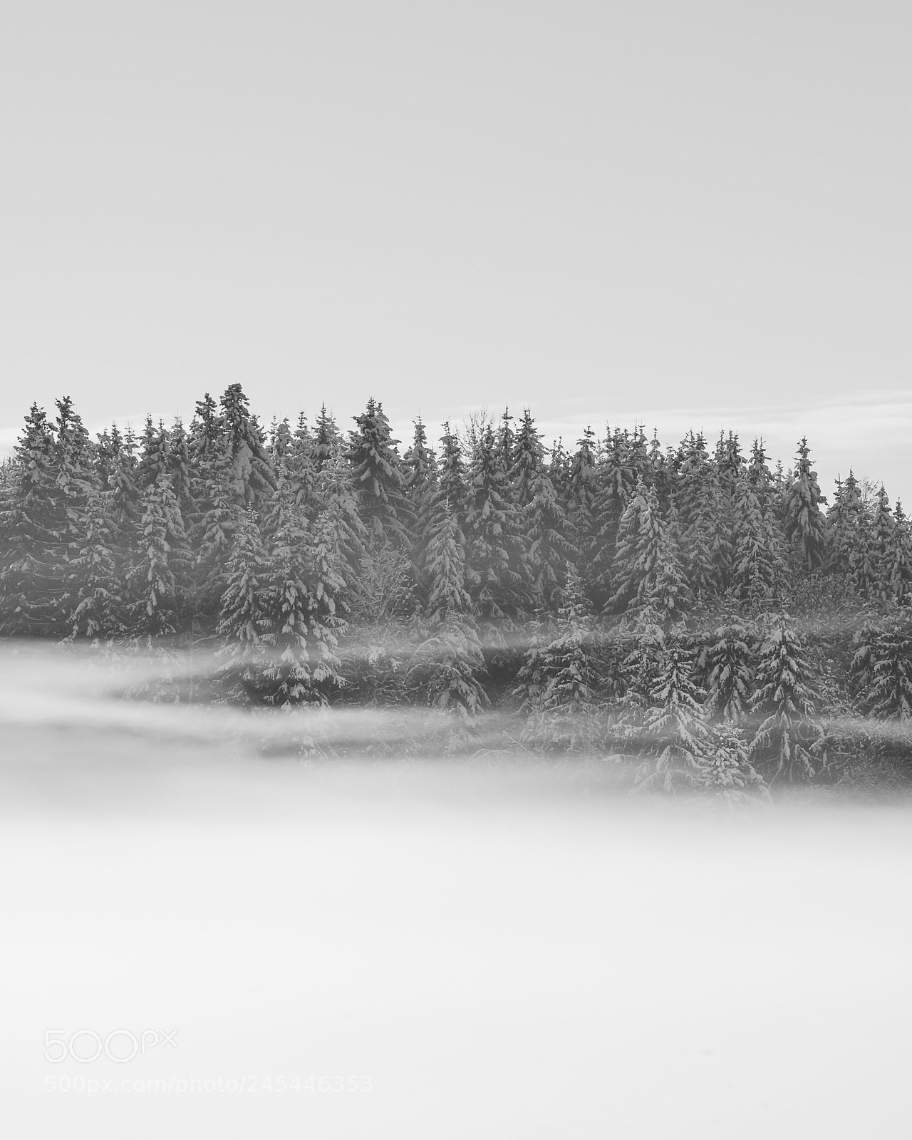 Nikon D600 sample photo. Winter landscape photography