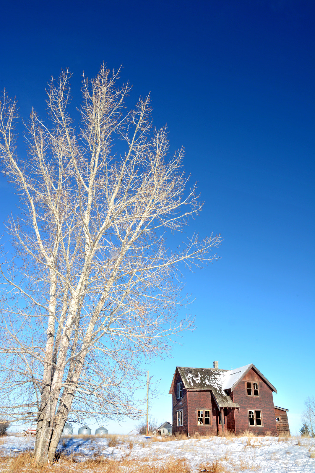 Nikon D7100 sample photo. The prairie homestead photography