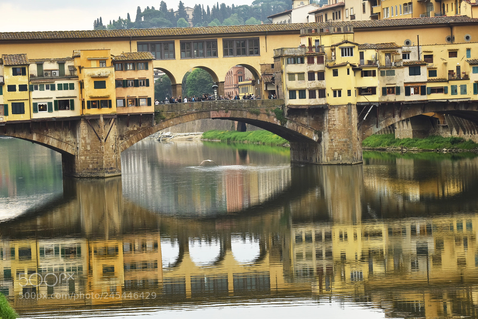 Nikon D810 sample photo. Ponte vecchio photography