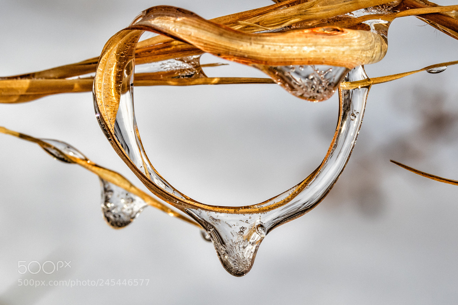 Canon EOS 7D Mark II sample photo. Frozen knot photography