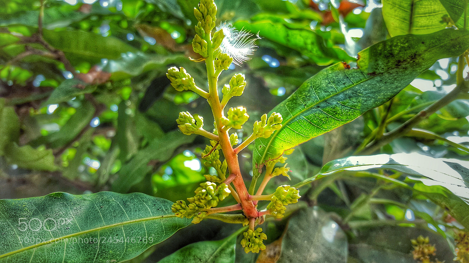 Samsung Galaxy S6 sample photo. Untitled photography