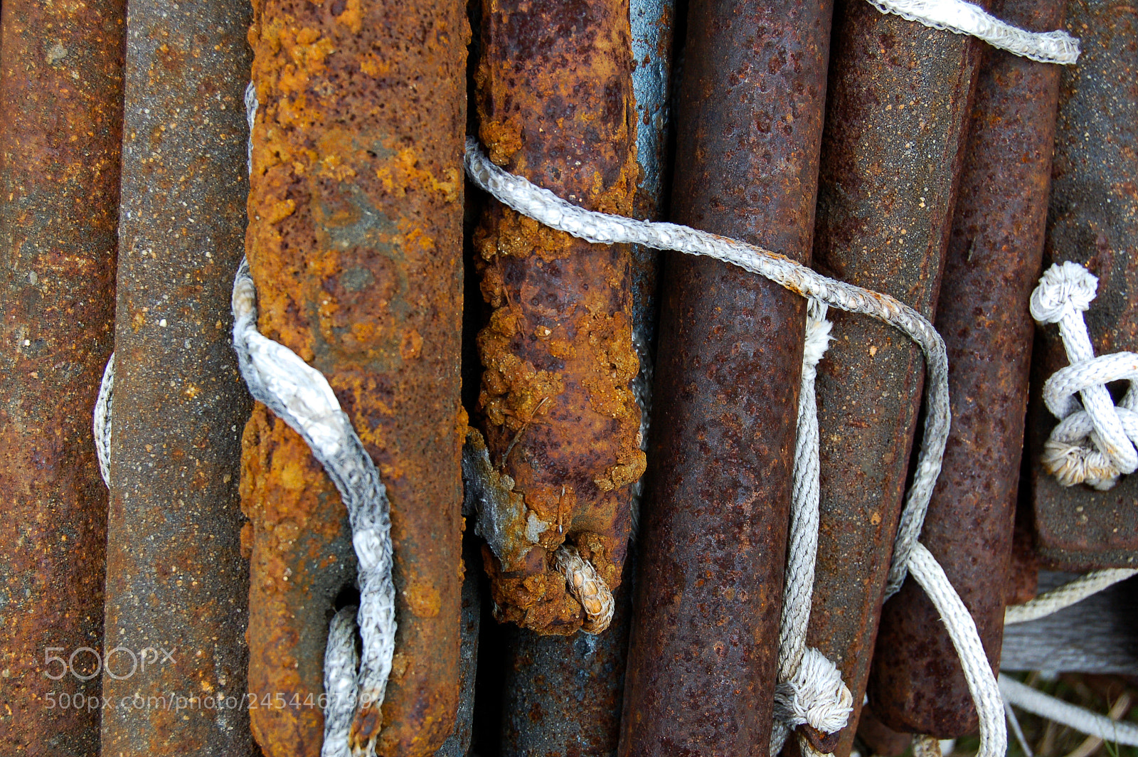 Nikon D50 sample photo. Window weights photography